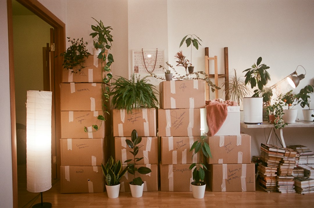 Organised boxes and belongings prepared for storage